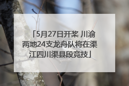 5月27日开桨 川渝两地24支龙舟队将在渠江四川渠县段竞技